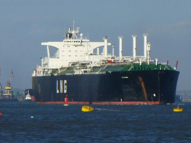 Galeomma 4.jpg